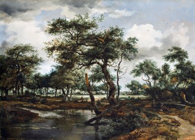 Egy tó az erdőben, 1668 (olaj, tölgyfa panel) alkotó: Meindert Hobbema