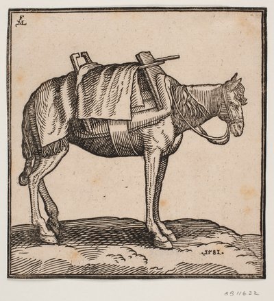 Felnyergelt szállító ló alkotó: Melchior Lorck