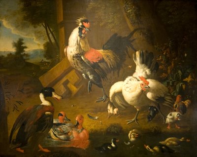 Egy kakas tyúkkal és három kacsával alkotó: Melchior de (studio of) Hondecoeter