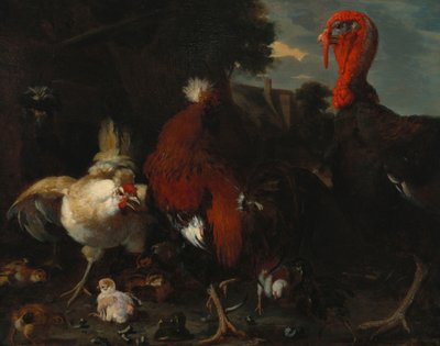 Tyúk, kakas és pulyka a tanya udvarán alkotó: Melchior de Hondecoeter