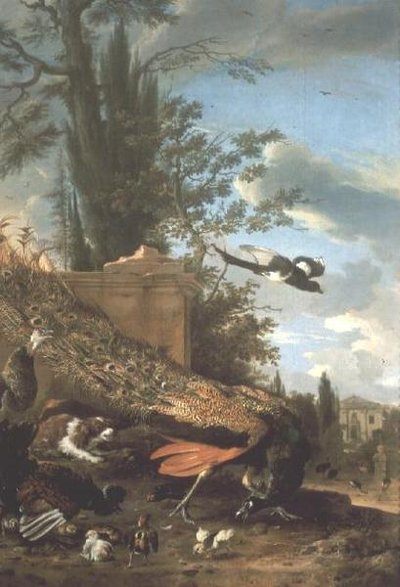 Páva és spániel egy villa kertjében alkotó: Melchior de Hondecoeter