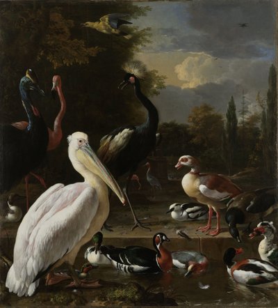 Pelikán és más madarak a medence közelében, „Az úszó toll” néven ismert, 1680 körül alkotó: Melchior de Hondecoeter