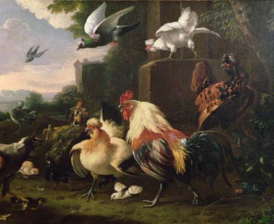 Kakas és más szárnyasok egy tájképben alkotó: Melchior de Hondecoeter