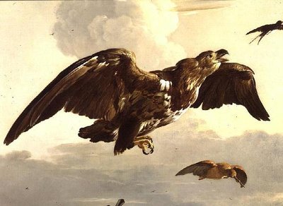 Egy sas és egy fecske repülés közben alkotó: Melchior de Hondecoeter
