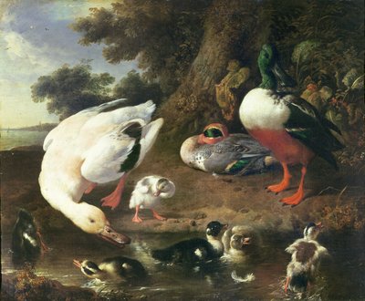 Tanyasi kacsák alkotó: Melchior de Hondecoeter