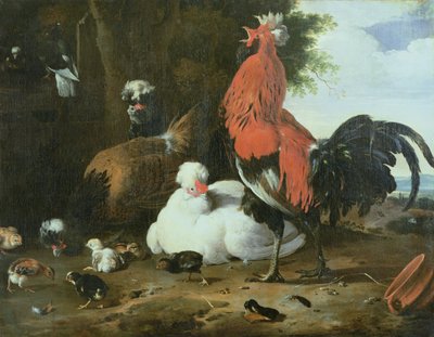 Tanyasi szárnyasok galambokkal alkotó: Melchior de Hondecoeter