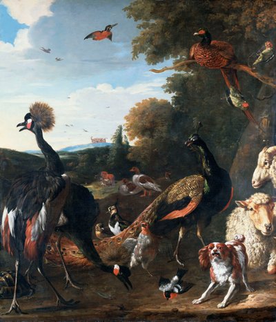 Pávák és más madarak, birkával és kutyával a tájban alkotó: Melchior de Hondecoeter