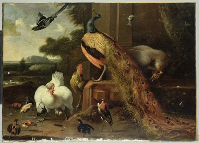 Lázadás a baromfipuccsban alkotó: Melchior de Hondecoeter