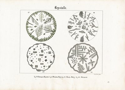 Különböző sók kristályformái alkotó: Meno Haas