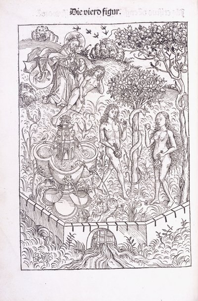 Ádám és Éva az Édenkertben, 1491 alkotó: Michael Wolgemuth