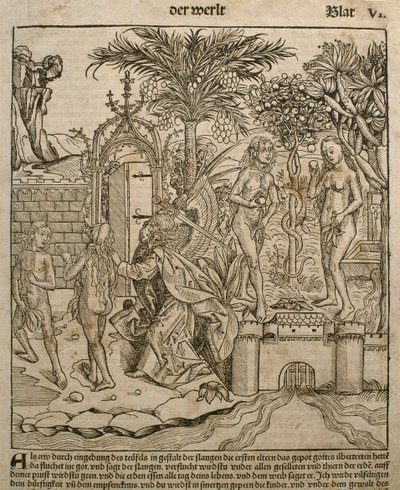 Ádám és Éva, illusztráció Hartmann Schedel (1440-1514) „Liber Chronicarum” című művéből, Nürnbergben, 1493 alkotó: Michael and Pleydenwurff, W. Wolgemuth