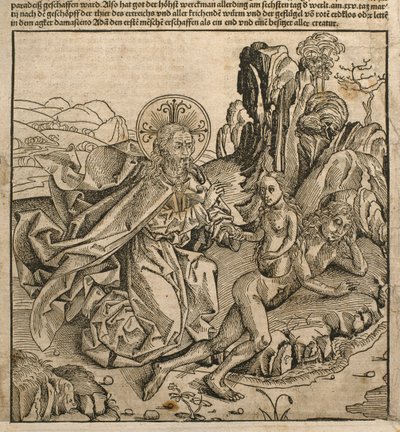 Az Atya Isten megteremtette Évát Ádám bordájából, illusztráció Hartmann Schedel (1440-1514) „Liber Chronicarum” című művéből, amelyet Nürnbergben adtak ki, 1493 alkotó: Michael and Pleydenwurff, W. Wolgemuth