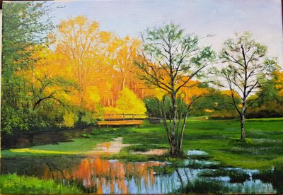 Elárasztott mező Gironde-ban (olaj, vászon) alkotó: Michel Bultet