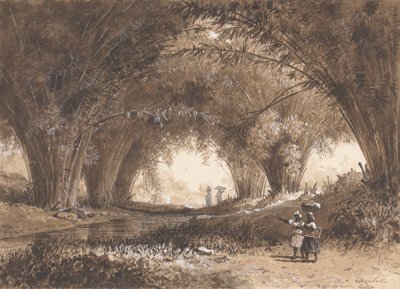 Bamboo Arches, St. Anns alkotó: Michel Jean Cazabon
