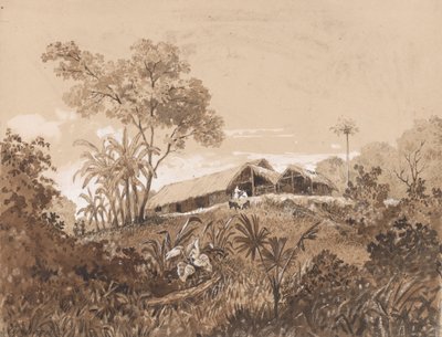 A kunyhó, Tamana-hegy alkotó: Michel Jean Cazabon