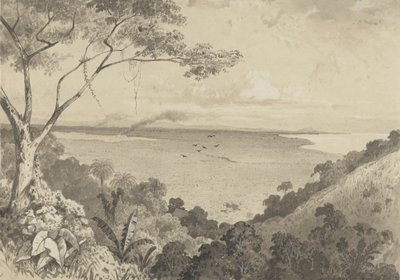 Kilátás a Laventille-hegyről alkotó: Michel Jean Cazabon