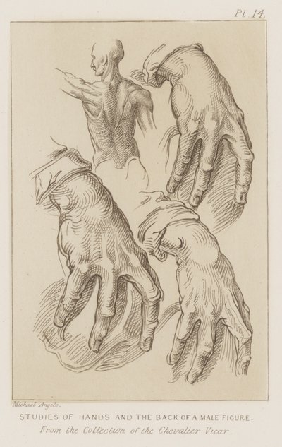 A férfialak kezei és hátának vizsgálata (rézkarc) alkotó: Michelangelo (after) Buonarroti