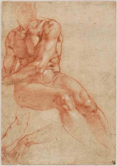 Ülő fiatal férfiakt és két karos tanulmány (recto), 1510-11 körüli évek alkotó: Michelangelo