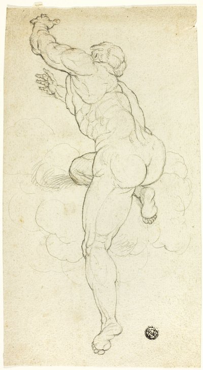 Emelkedő férfi akt alkotó: Michelangelo Buonarroti