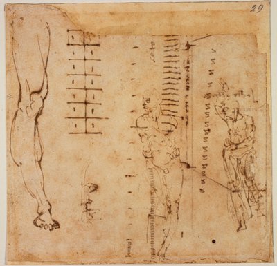Ábra tanulmányok alkotó: Michelangelo Buonarroti