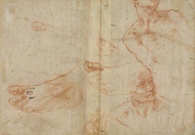 Ábratanulmányok a Sixtus-mennyezethez alkotó: Michelangelo Buonarroti