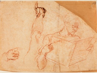 Figuratanulmány a Sixtus-kápolnában lévő "Aman büntetése" című képhez alkotó: Michelangelo Buonarroti