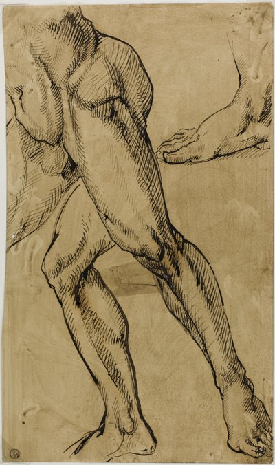 Lábak és lábak férfi akt alkotó: Michelangelo Buonarroti