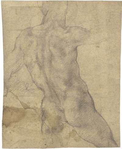 Férfi meztelen alkotó: Michelangelo Buonarroti