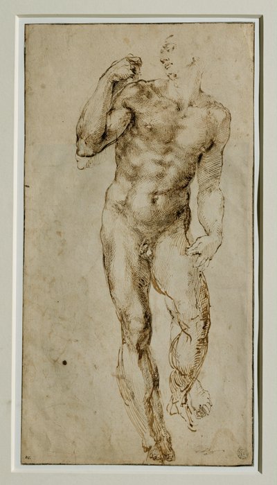 Férfi akt, elölnézet, 1502-1506 körül ... alkotó: Michelangelo Buonarroti