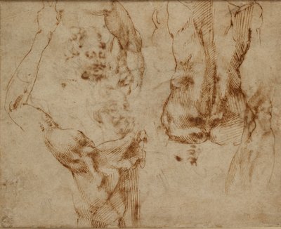 Akt tanulmányok, c1490-1560 alkotó: Michelangelo Buonarroti