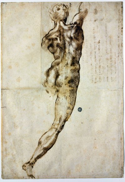 Akt hátulról, c. 1504 alkotó: Michelangelo Buonarroti
