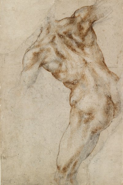 Meztelen férfi torzó, 16. század eleje alkotó: Michelangelo Buonarroti