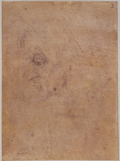 Egy idős nő profilja alkotó: Michelangelo Buonarroti