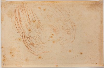 Egy sas vázlata alkotó: Michelangelo Buonarroti