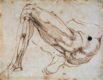 Egy láb tanulmányozása alkotó: Michelangelo Buonarroti