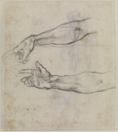 Egy kinyújtott kar tanulmánya a Sixtus-kápolna "Noé részegsége" című freskójához, 1508-09 körül (fekete kréta, papír). alkotó: Michelangelo Buonarroti
