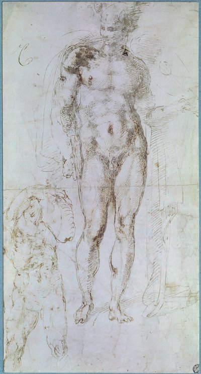Tanulmány Apollo (korábban Merkúr) számára, aki meztelenül áll, vállára terített köpennyel és egy teherhordó férfi alakjával alkotó: Michelangelo Buonarroti
