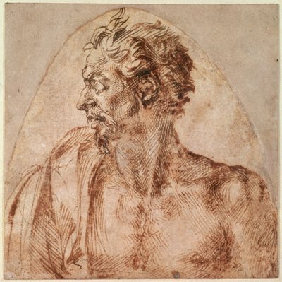 Fej és vállak tanulmányozása (tinta papíron) alkotó: Michelangelo Buonarroti