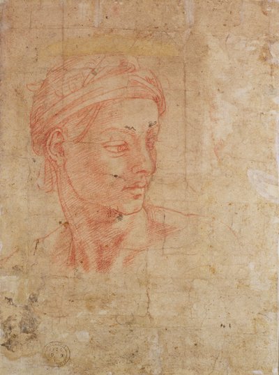Fej tanulmányozása (piros kréta papíron) alkotó: Michelangelo Buonarroti