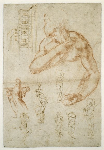 Tanulmány a líbiai szibilla segítő alakjáról, 1512 körül (piros kréta és toll papíron) alkotó: Michelangelo Buonarroti