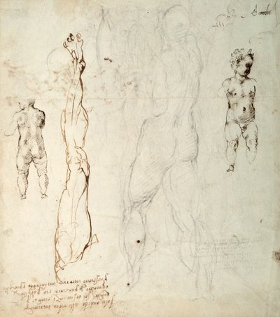 Tanulmány a Krisztus-gyermekről és egy anatómiai rajz jegyzetekkel (fekete kréta és barna tinta papíron) (fordítva) alkotó: Michelangelo Buonarroti