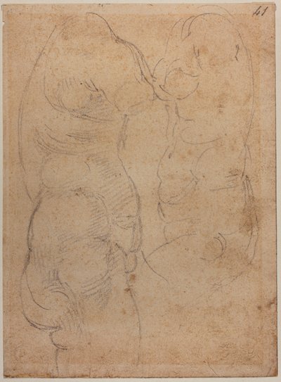 Két tanulmány egy ősi Vénuszról alkotó: Michelangelo Buonarroti