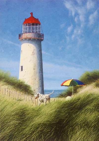 Egy nap a dűnék között alkotó: Mike Briscoe