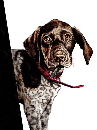 Bye Bye Puppy on White, 2020 alkotó: Mike Davis