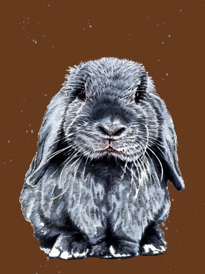 Gray One The Bunny a Burnt Orange-on, 2020 alkotó: Mike Davis