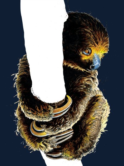 Talita The Sloth a Midnight Blue-n, 2020 alkotó: Mike Davis