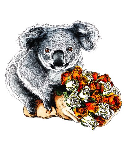 Köszönöm Koala on White, 2020 alkotó: Mike Davis