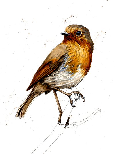 The Robin on White, 2019 alkotó: Mike Davis