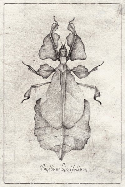  alkotó: Mike Koubou