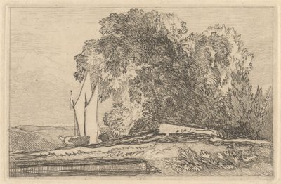 Tanulmány a fákról a Yare partján alkotó: Miles Edmund Cotman